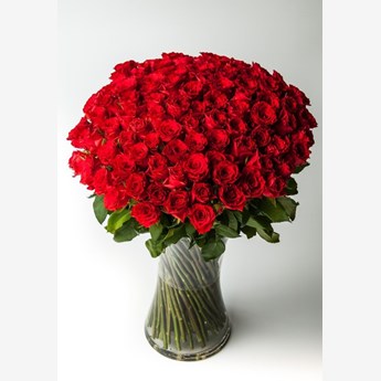 Roses N Rapture
