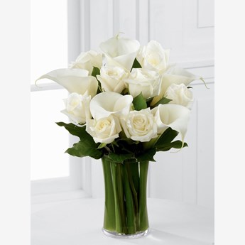 Calla Lily