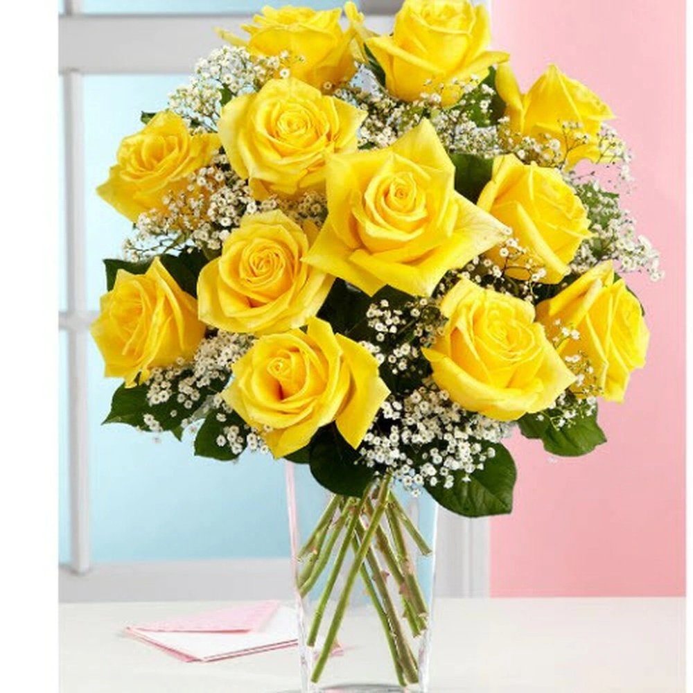 Premium Long Stemmed Yellow roses