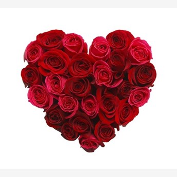 Heart of roses