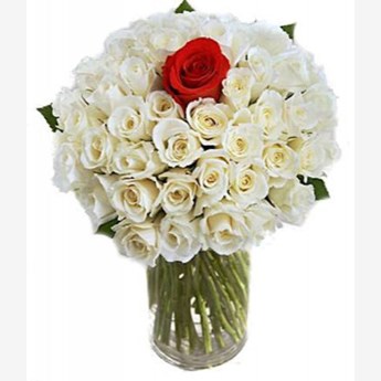 VASE WITH 40 WHITE & 1 RED ROSES