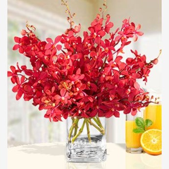 Vase with 20 Red Orchids