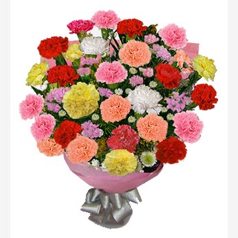 Mixed Carnations