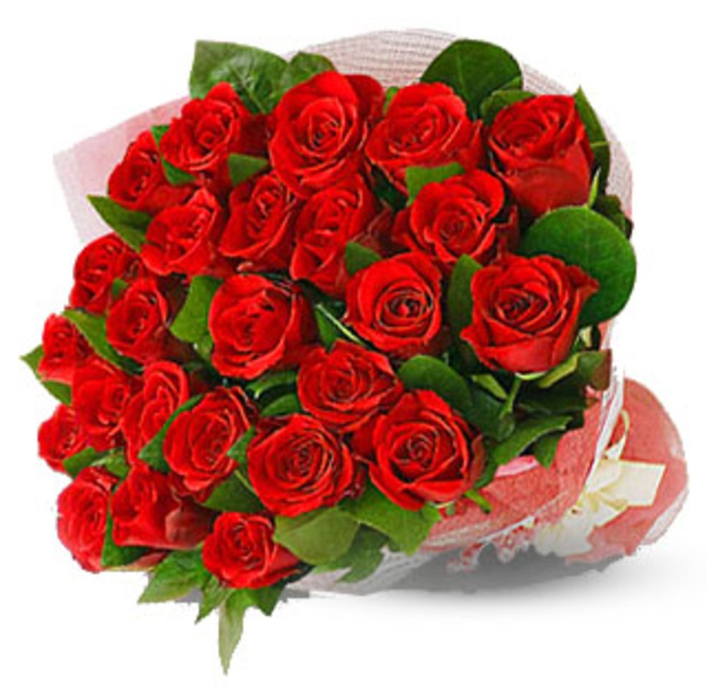 True Romance Roses