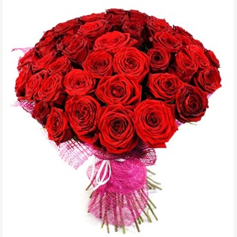 Reminiscences forever