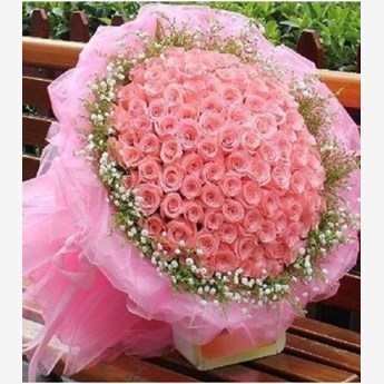 60 Pink Roses