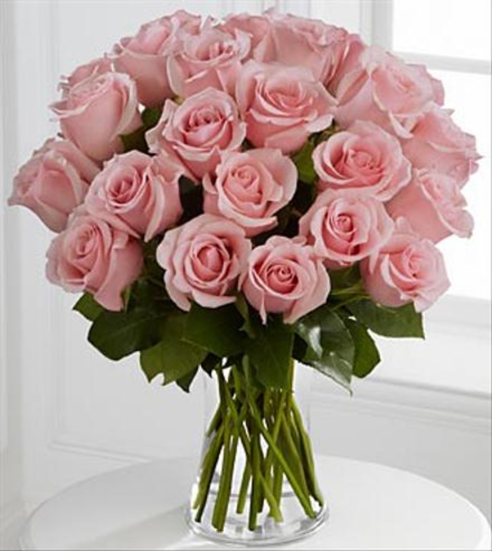 Pink Petal Roses