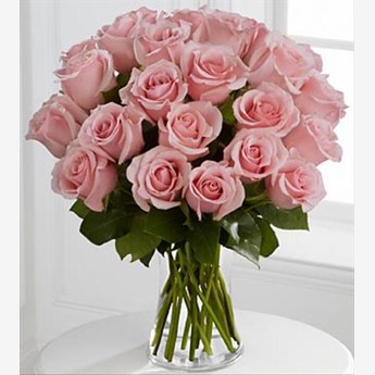 Pink Petal Roses