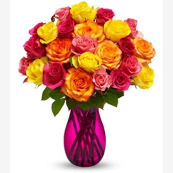 Two-Dozen-Multicolored