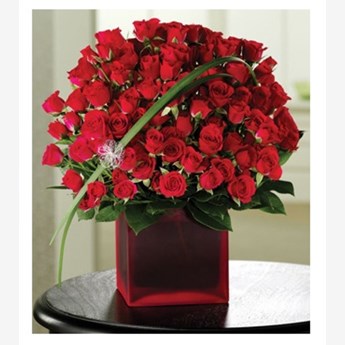 Roses Rapture