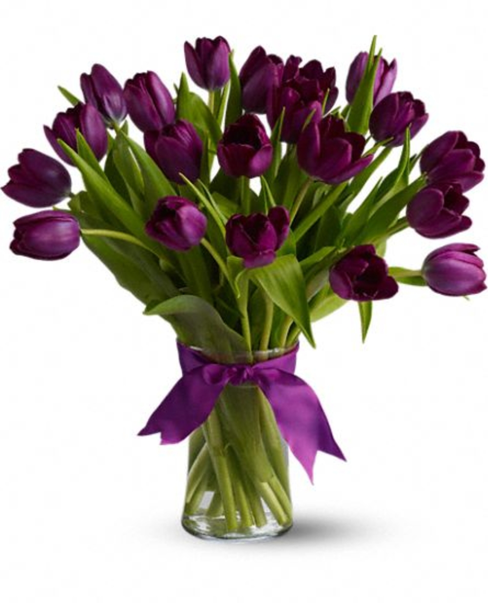 Passionate Purple Tulips