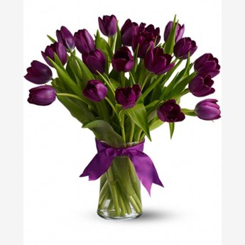 Passionate Purple Tulips