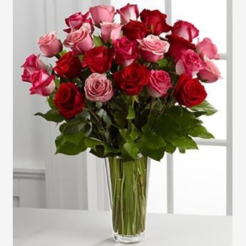 Pretty Lovely Roses
