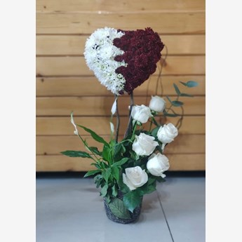 Heart Shaped National Day Flowers In a Pot
