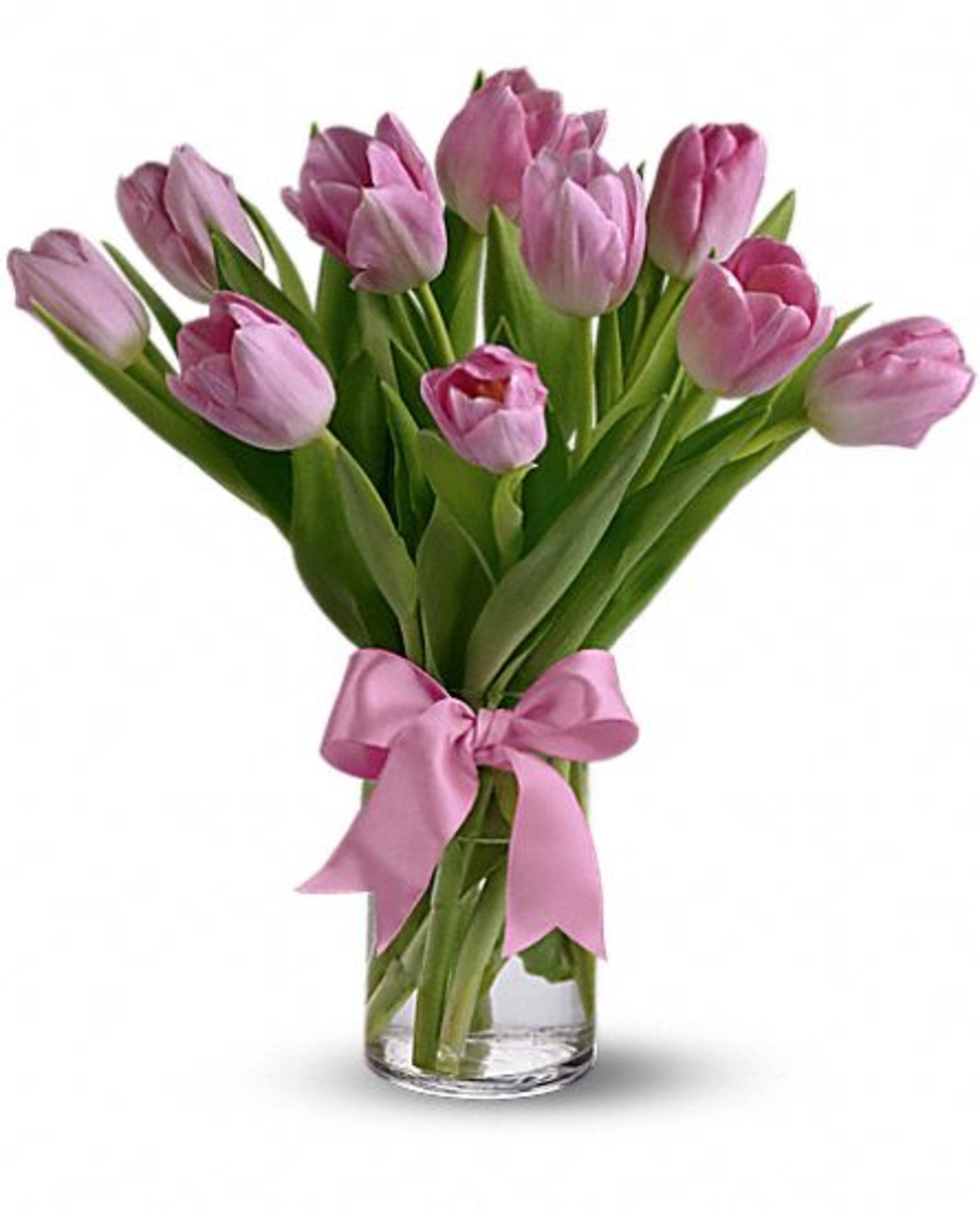 soft pink tulips