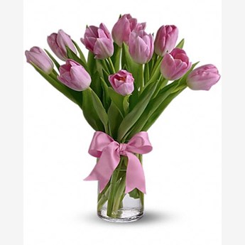 soft pink tulips