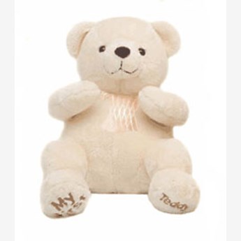 Beautiful White Teddy