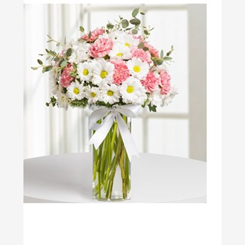 Dream White Daisy & Pink Carnation