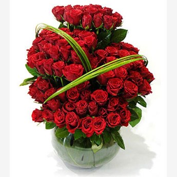 100 Red Roses Beauty
