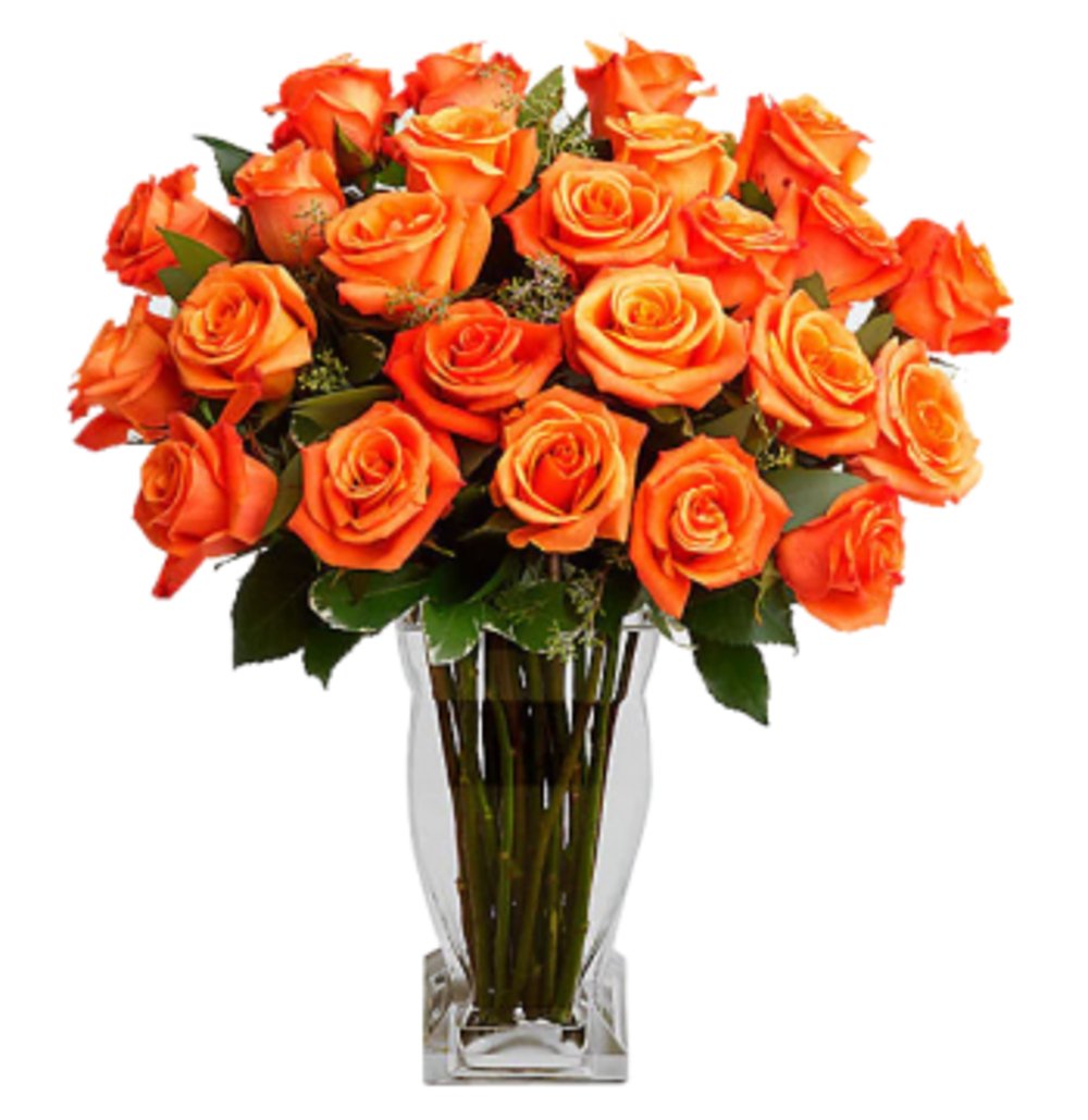 Opulent Orange Roses