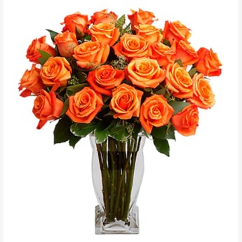 Opulent Orange Roses