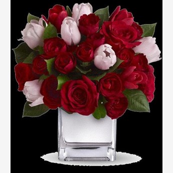 Red Roses & Red & Pink Tulips.
