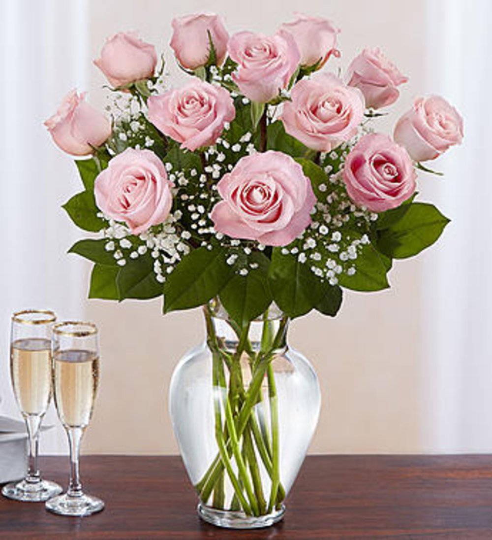 Pink Roses with gypsophila