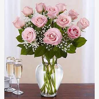 Pink Roses with gypsophila