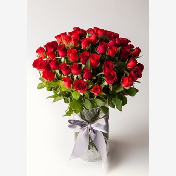 Timeless Roses