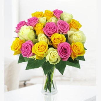 Rose Galore